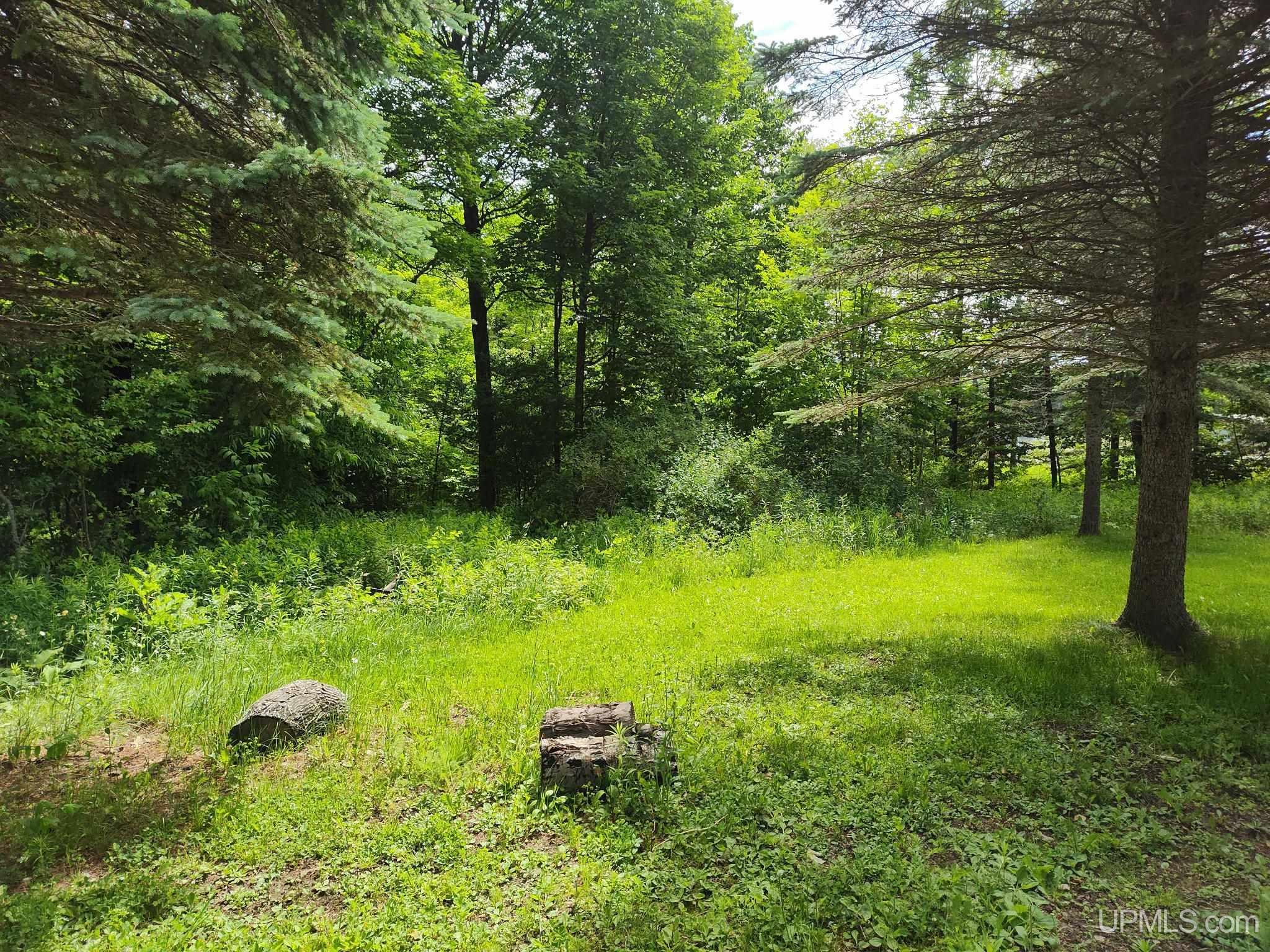 497 Bates-Amasa Road Iron River, MI 49935 - Photo 11 of 40