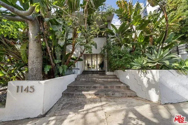 a view of a yard with plants and trees