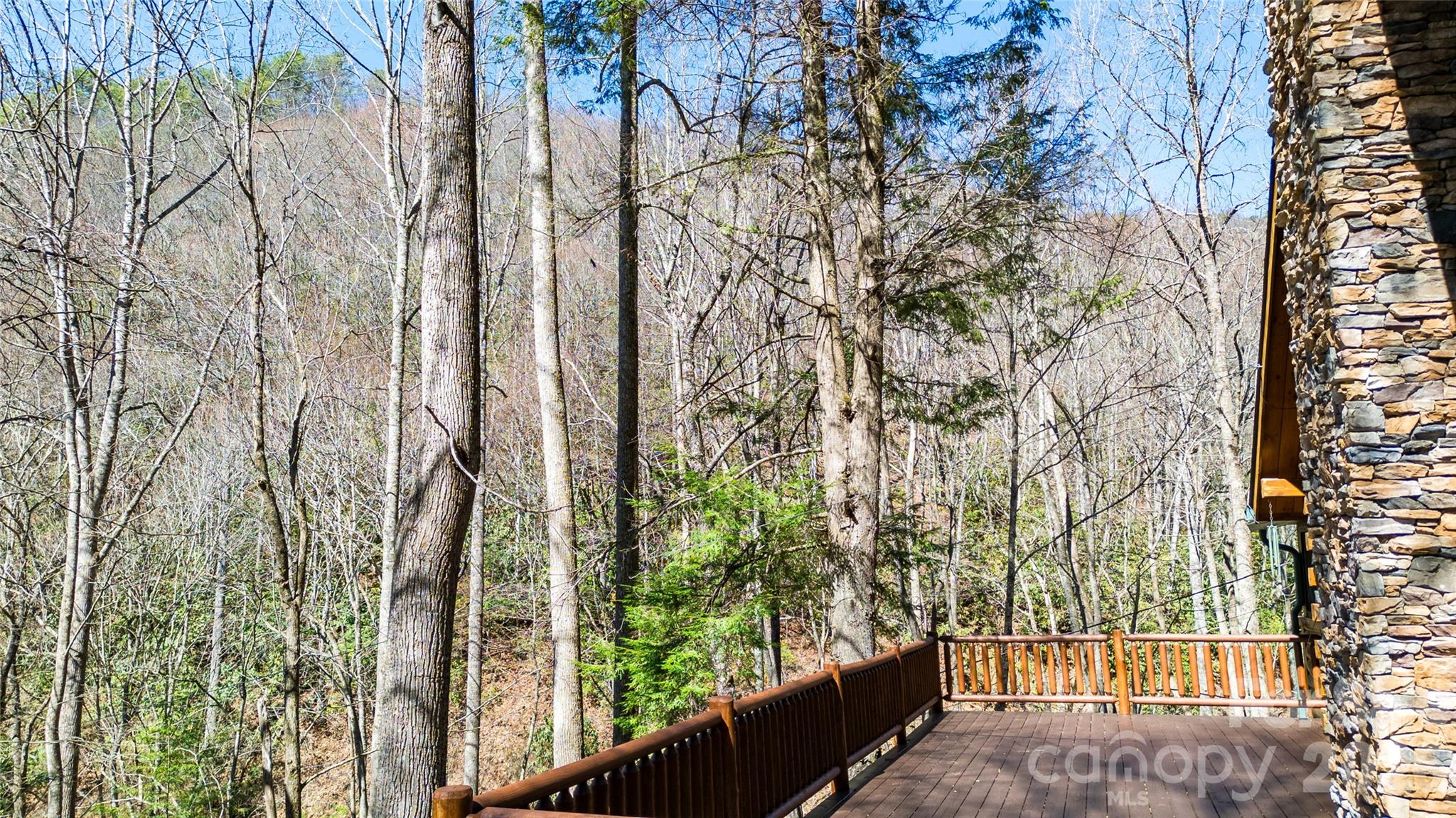 3458 Dicks Creek Road Whittier, NC 28789 - Photo 12 of 36