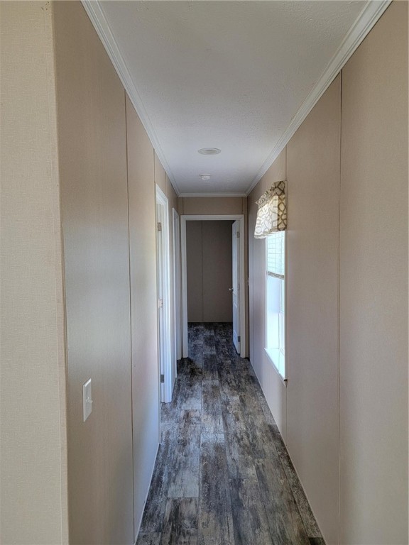 118 Oakleaf Drive Brutus, NY 13166 - Photo 13 of 24