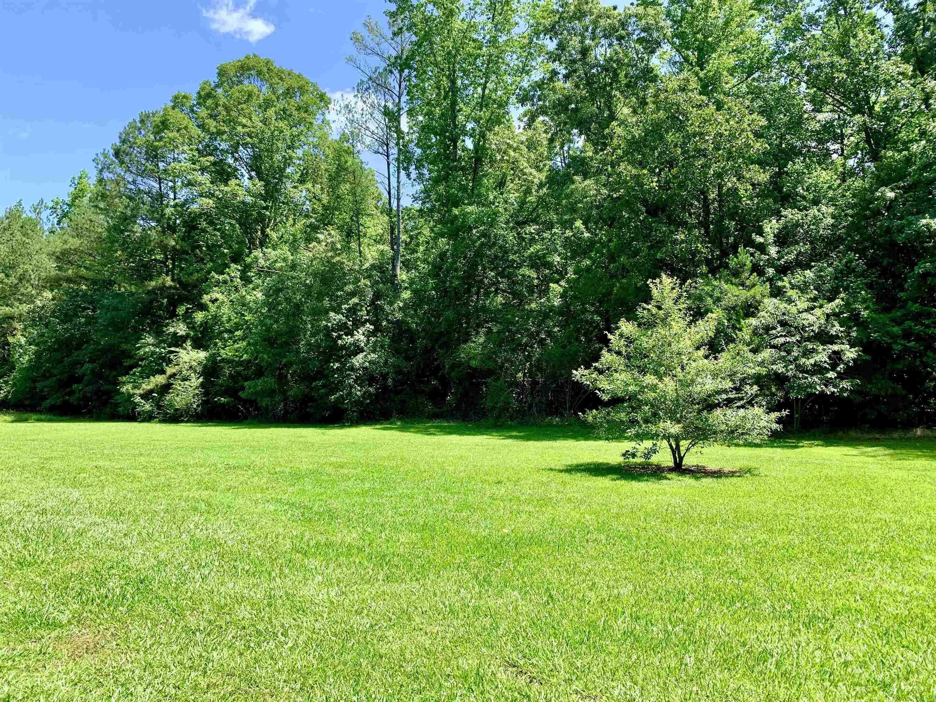 6195 Peavine Road Middleton, TN 38052 - Photo 5 of 33 Gallery Image 5