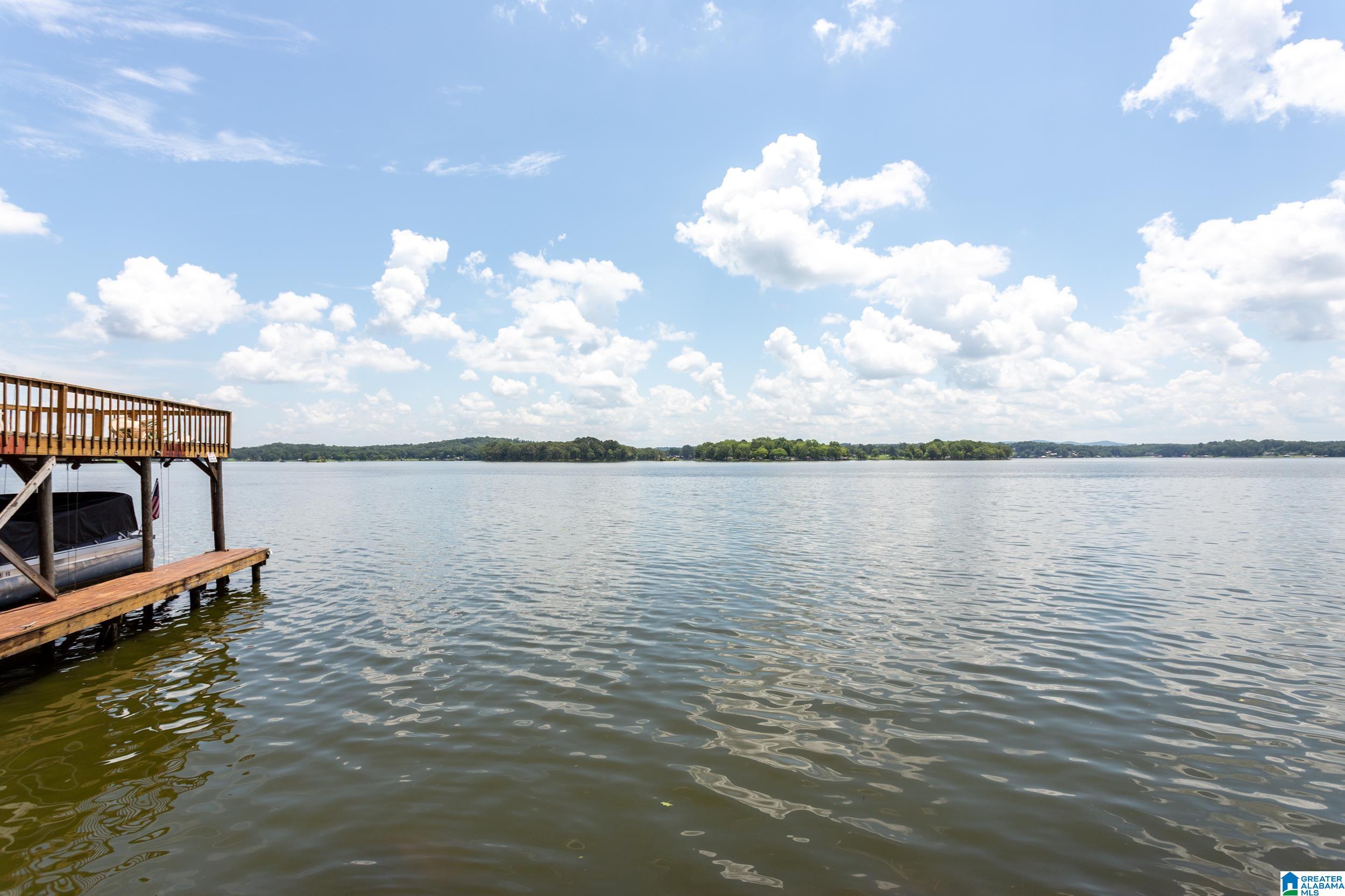 3562 Griffitt Bend Road Talladega, AL 35160 - Photo 48 of 55