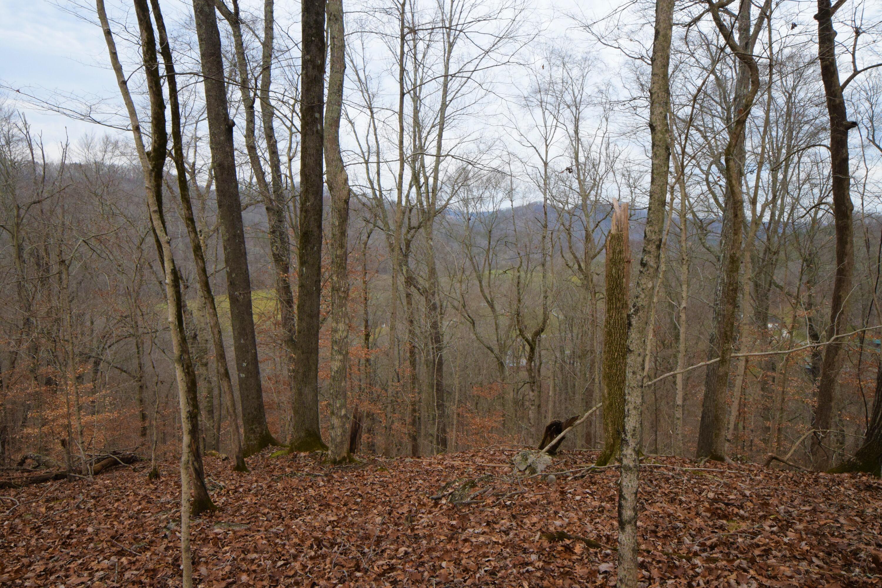 0 Hansard Road Maynardville, TN 37807 - Photo 11 of 24 DSC_0068