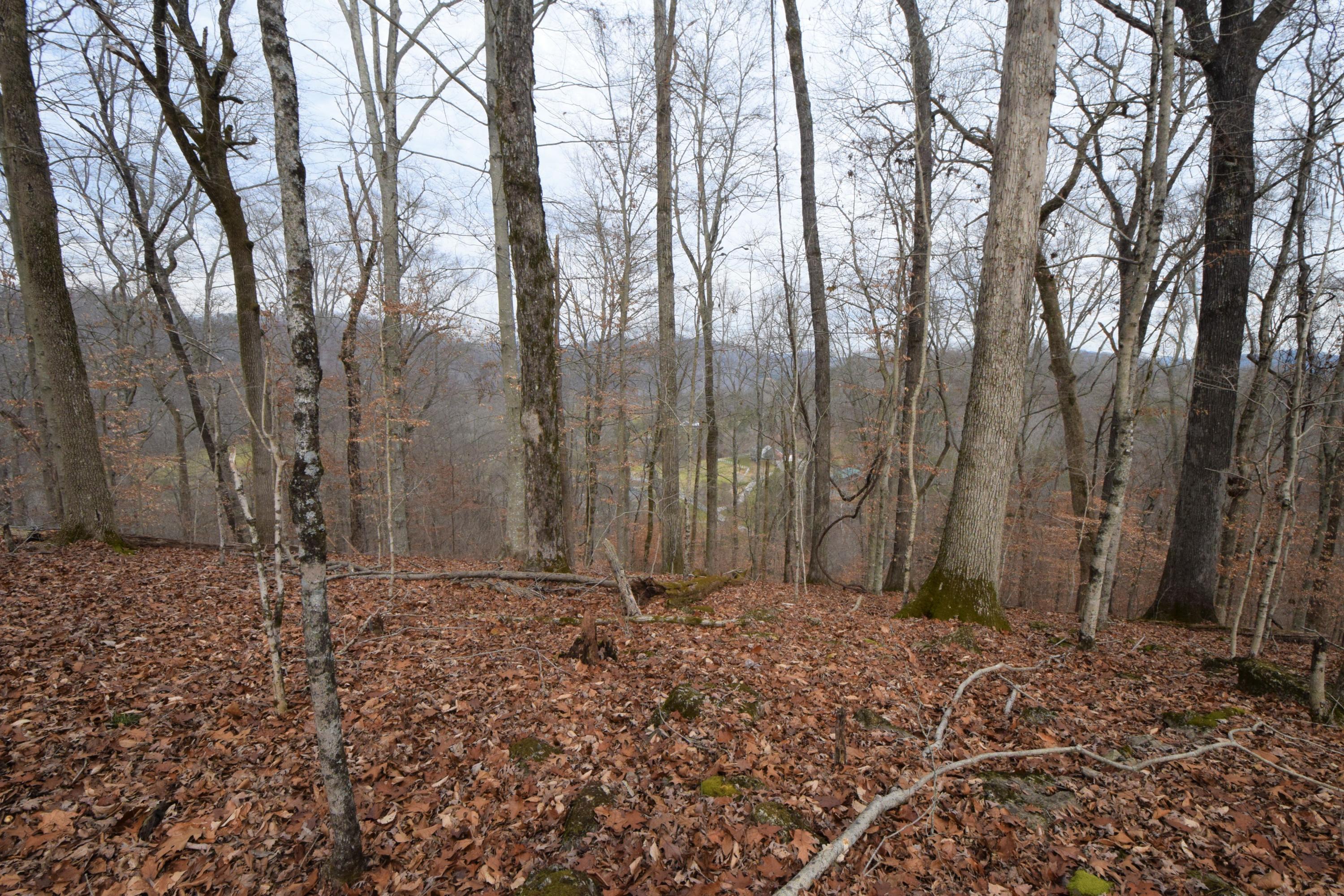 0 Hansard Road Maynardville, TN 37807 - Photo 13 of 24 DSC_0073