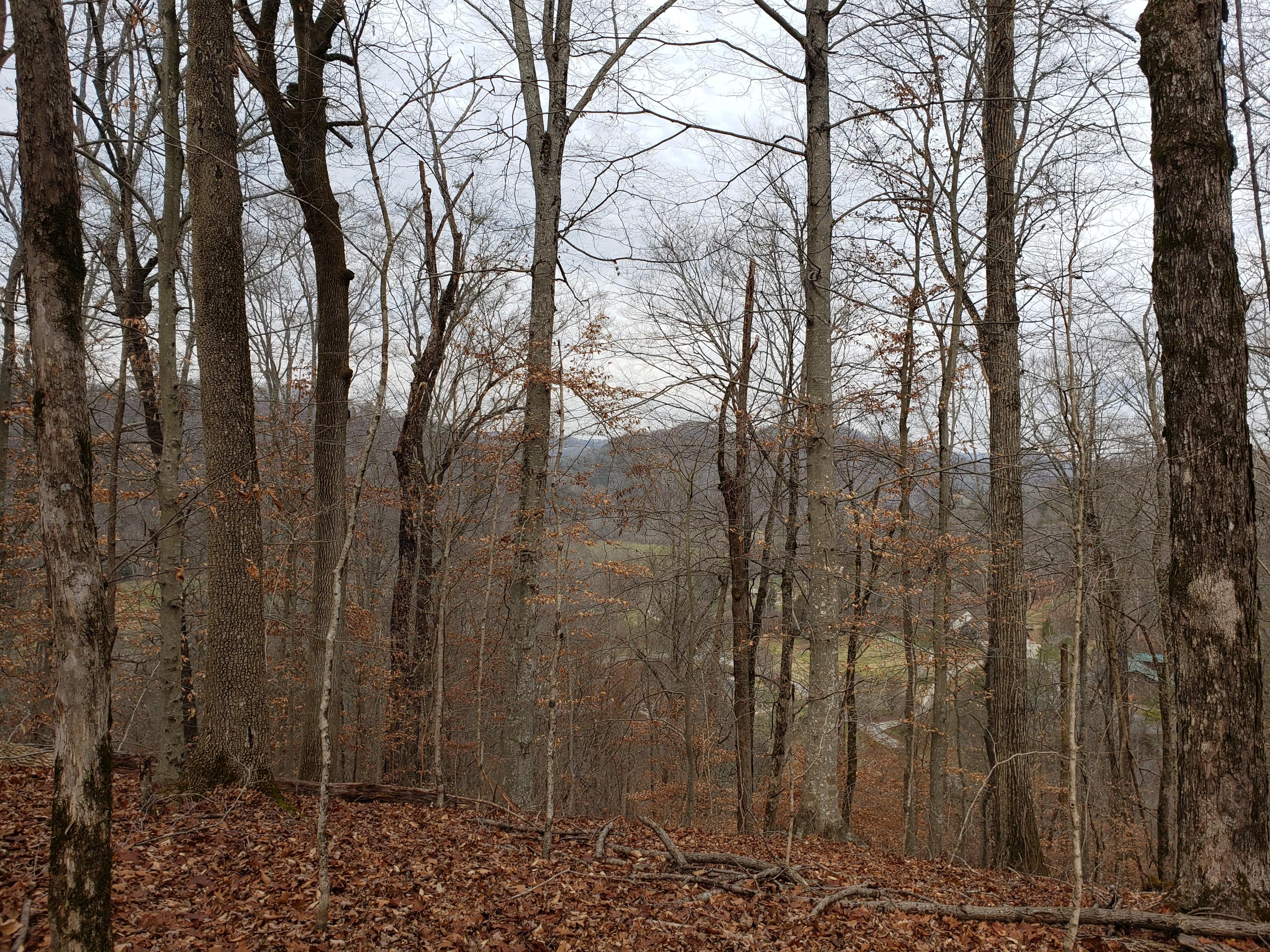 0 Hansard Road Maynardville, TN 37807 - Photo 14 of 24 20201219_140836