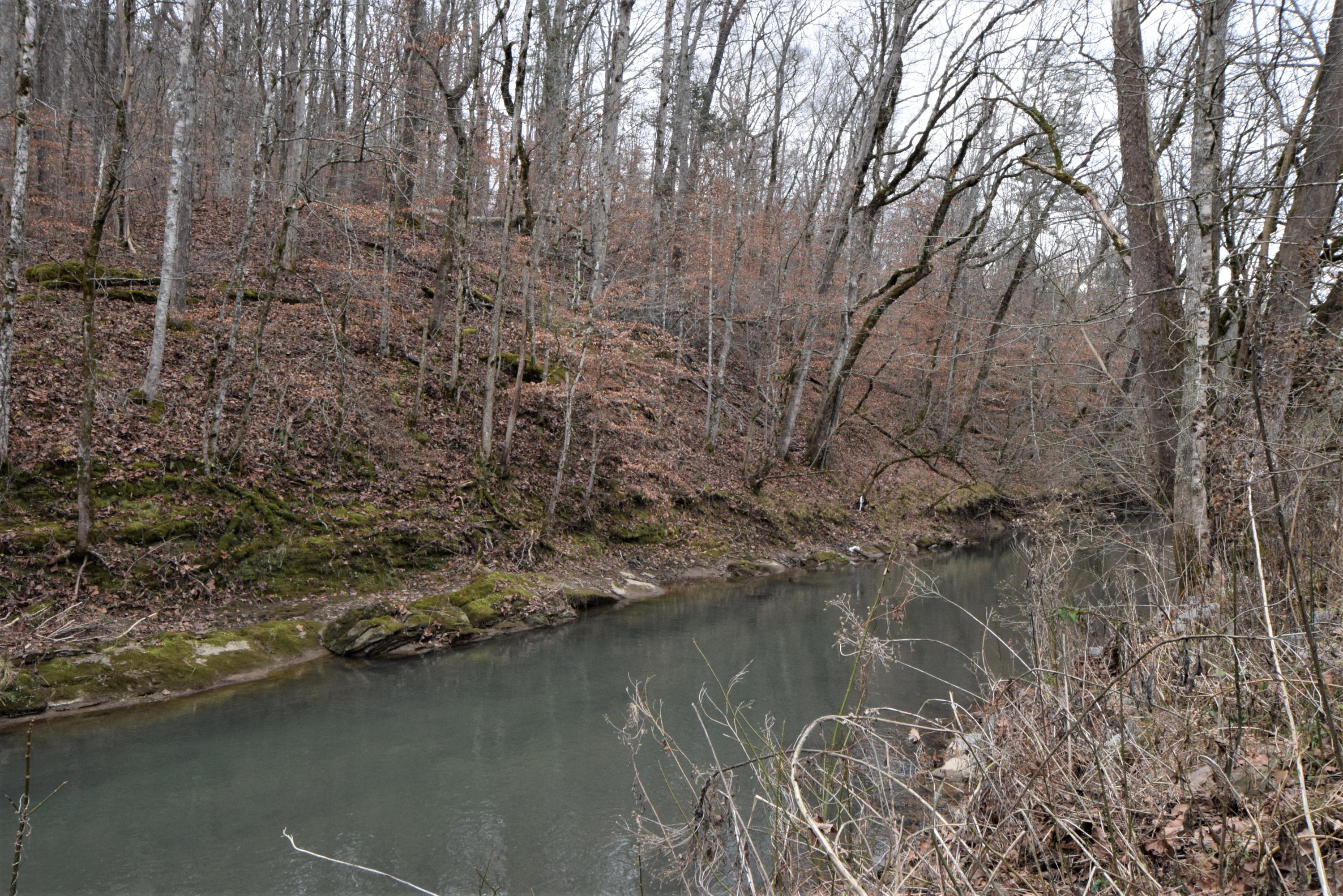 0 Hansard Road Maynardville, TN 37807 - Photo 20 of 24 DSC_0096