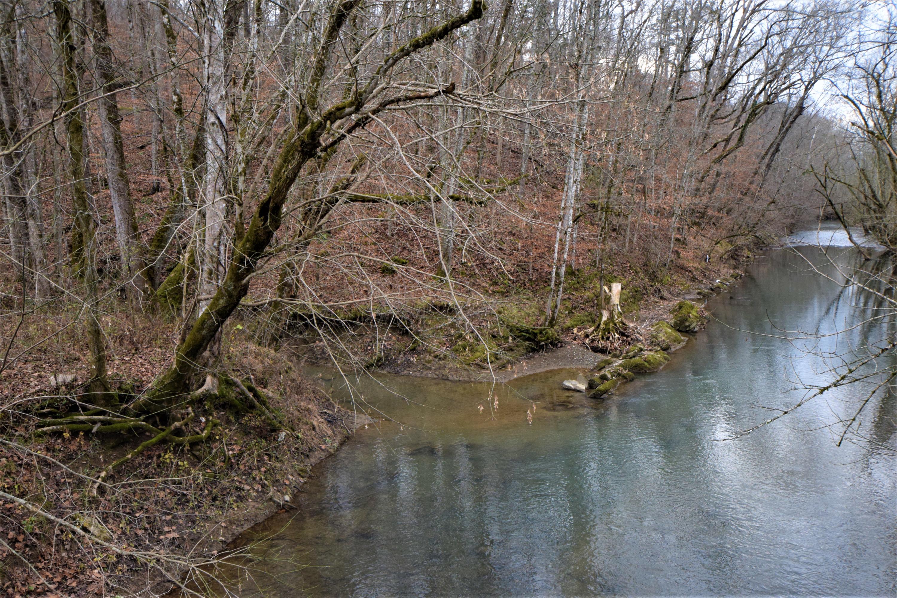 0 Hansard Road Maynardville, TN 37807 - Photo 22 of 24 DSC_0101