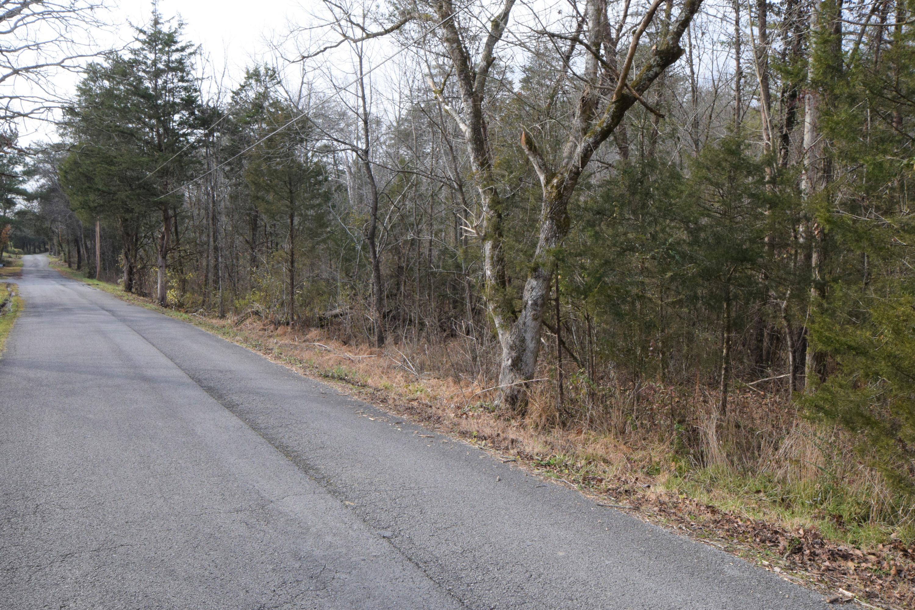 0 Hansard Road Maynardville, TN 37807 - Photo 23 of 24 DSC_0051