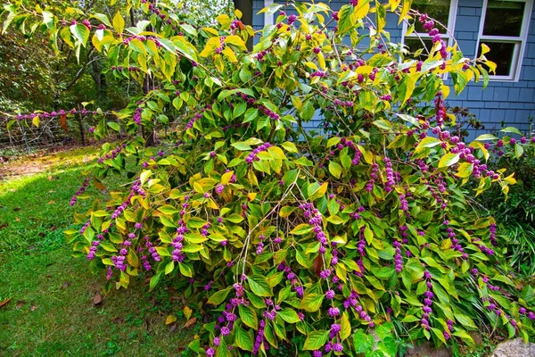 $254,500 | 470 Hamilton Mulberry Grove Road, Cataula, GA 31804