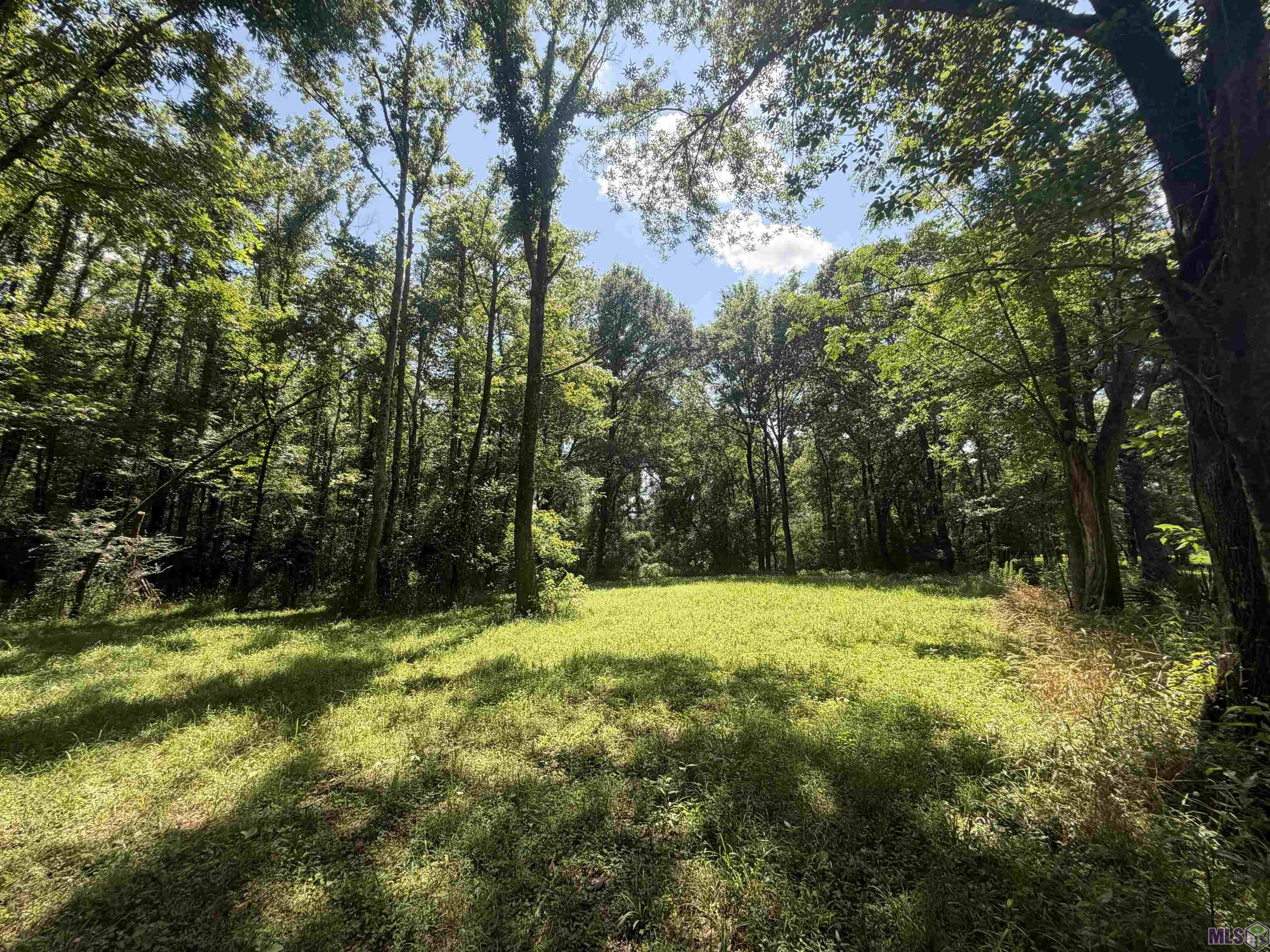 24632 Brian Road Zachary, LA 70791 - Photo 32 of 35