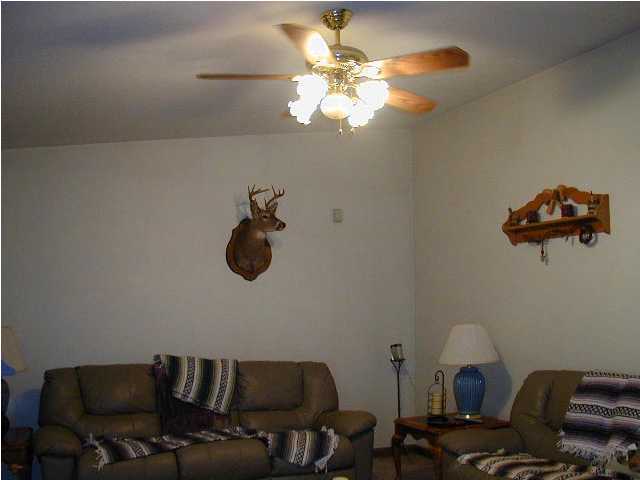 9716 Lakeside Road Harrison, TN 37341 - Photo 4 of 9 Additional Photo