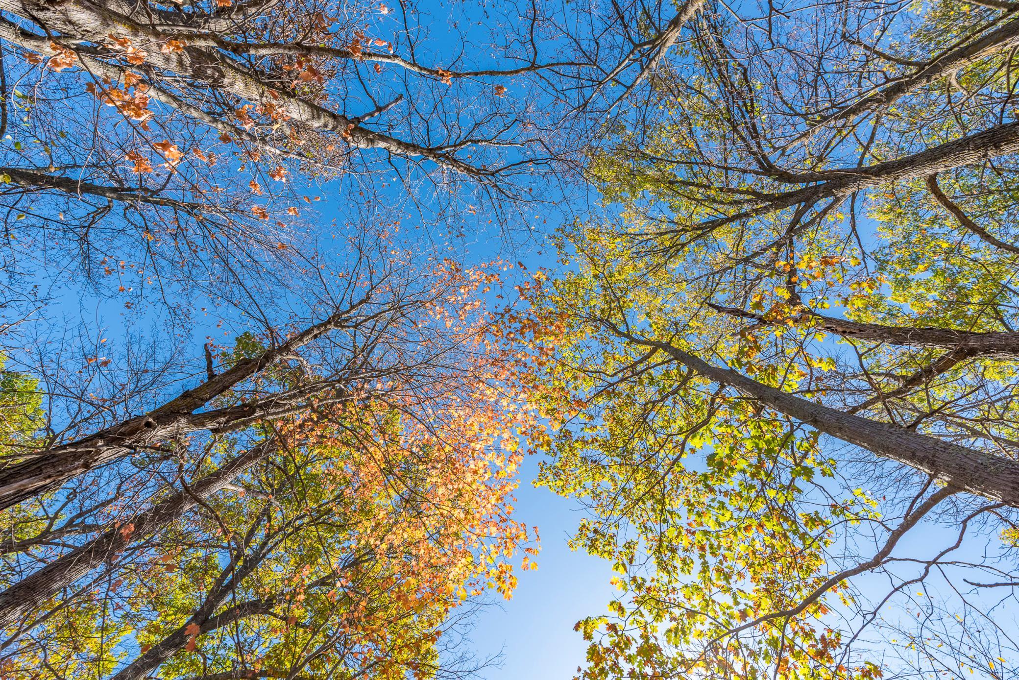 30205 190th Lane Isle, MN 56342 - Photo 113 of 113