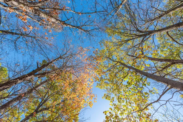 $1,395,000 | 30205 190th Lane, Isle, MN 56342