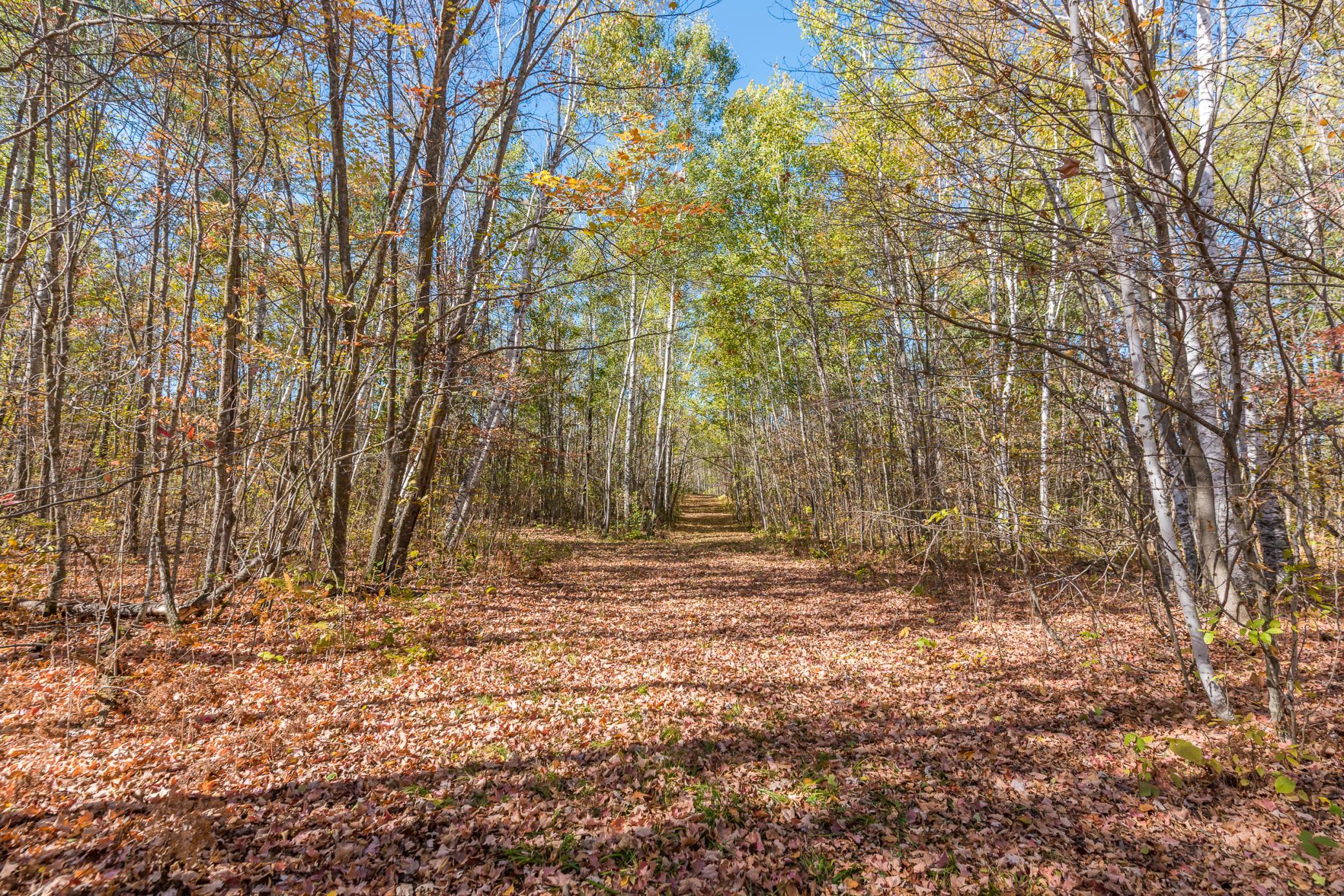 30205 190th Lane Isle, MN 56342 - Photo 32 of 113