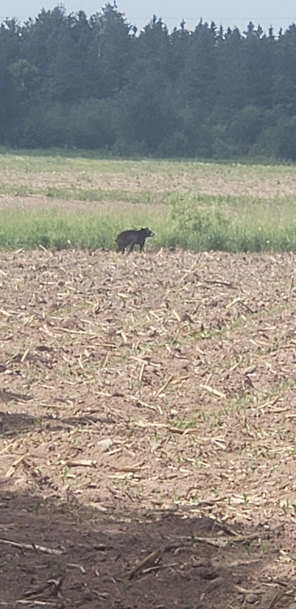 30205 190th Lane Isle, MN 56342 - Photo 53 of 113