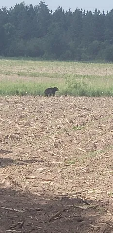 $1,395,000 | 30205 190th Lane, Isle, MN 56342