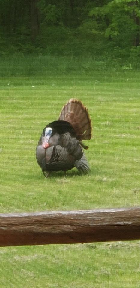 30205 190th Lane Isle, MN 56342 - Photo 54 of 113