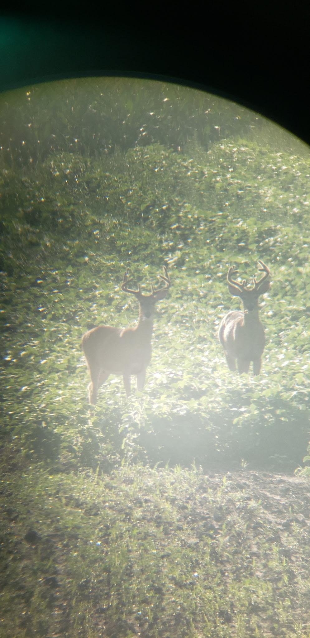 30205 190th Lane Isle, MN 56342 - Photo 57 of 113