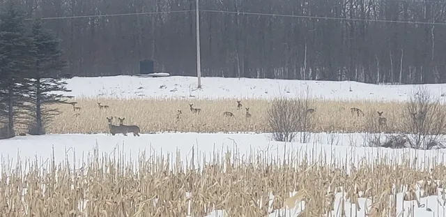 $1,395,000 | 30205 190th Lane, Isle, MN 56342