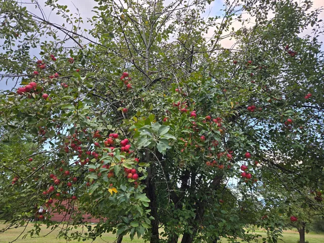 $1,395,000 | 30205 190th Lane, Isle, MN 56342