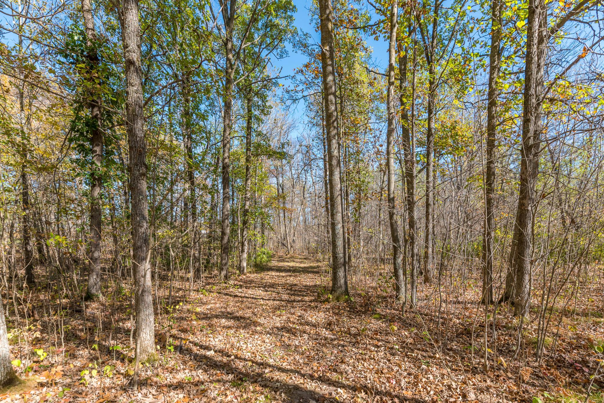 30205 190th Lane Isle, MN 56342 - Photo 61 of 113