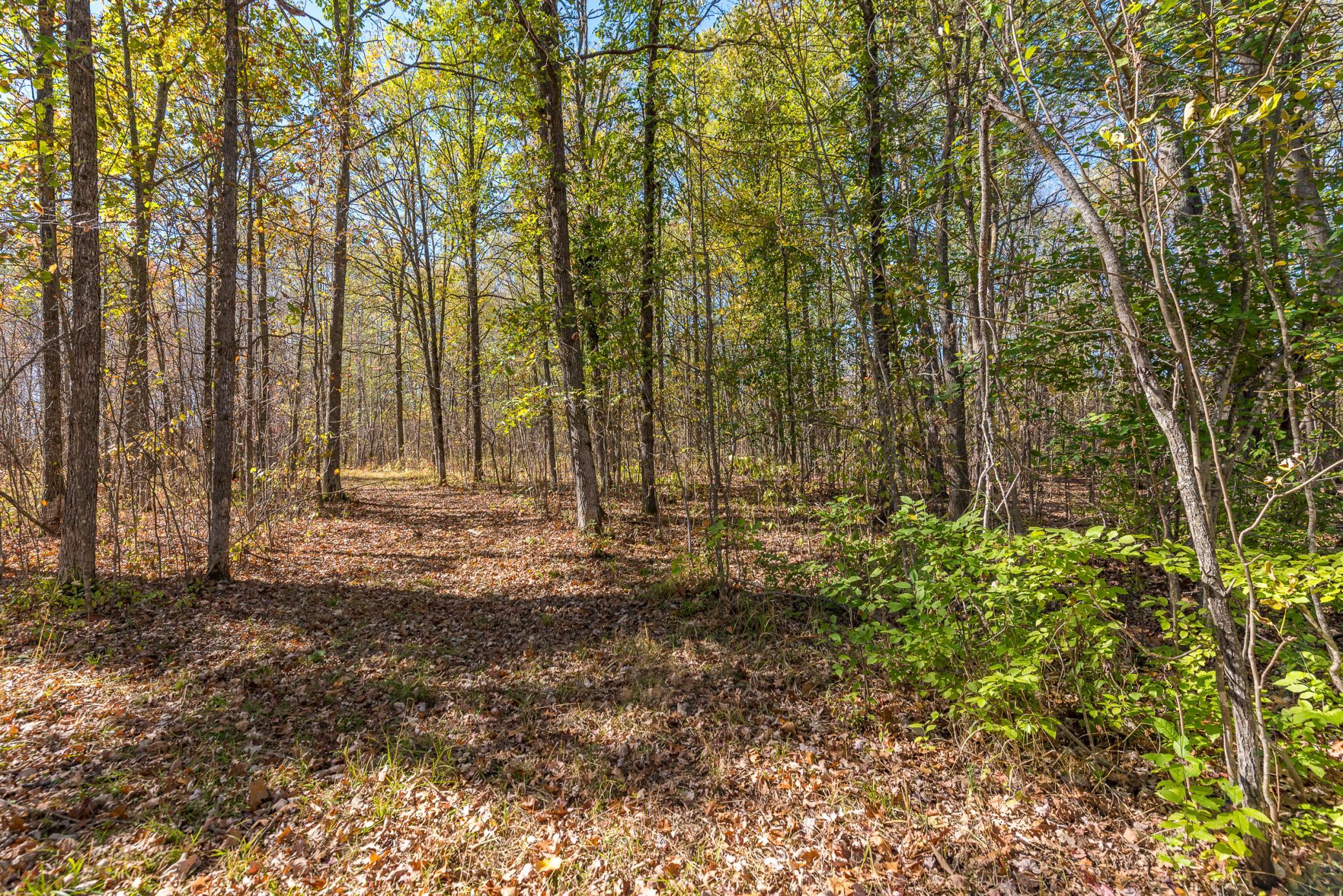 30205 190th Lane Isle, MN 56342 - Photo 67 of 113