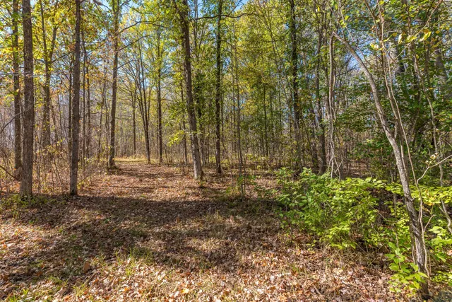 $1,395,000 | 30205 190th Lane, Isle, MN 56342