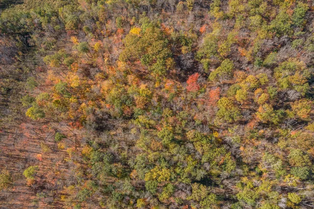 $1,395,000 | 30205 190th Lane, Isle, MN 56342