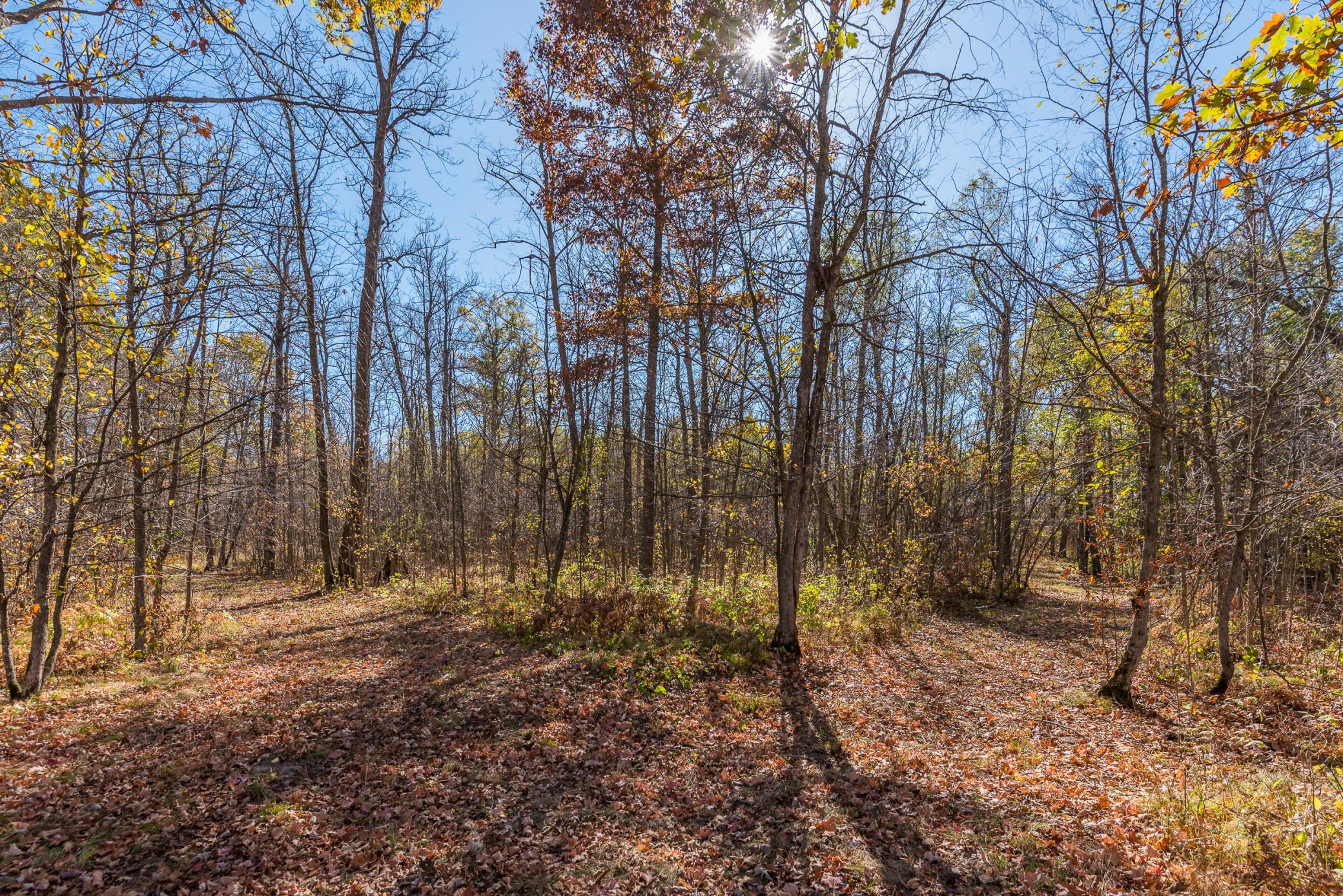 30205 190th Lane Isle, MN 56342 - Photo 96 of 113