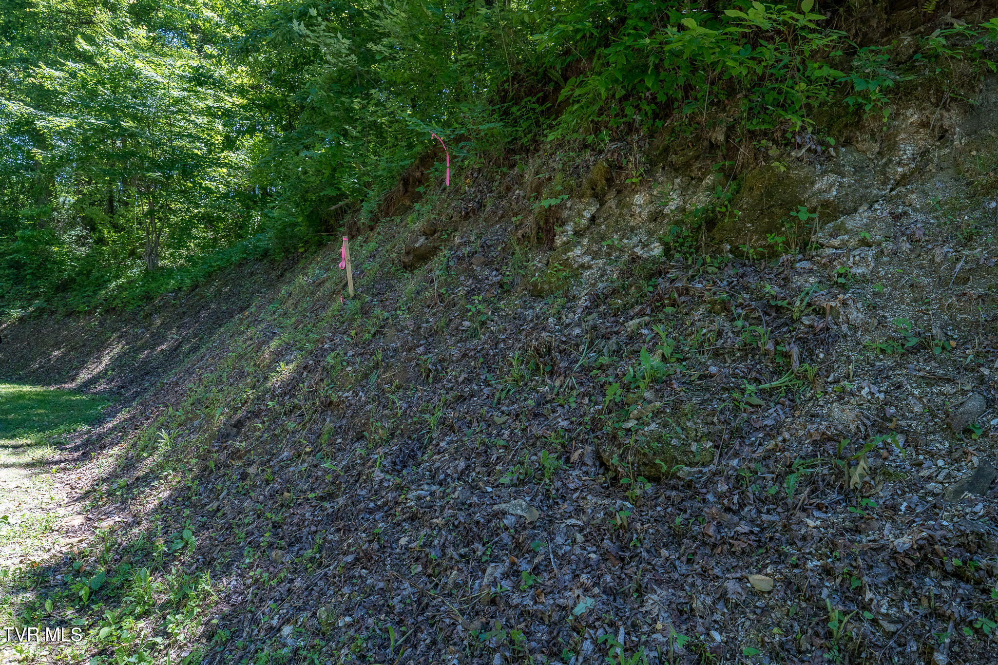 3 Ridgetop Lane, Unit 3 Unicoi, TN 37692 - Photo 9 of 20 Lot 2 Ridgetop Ln (47 of 47)