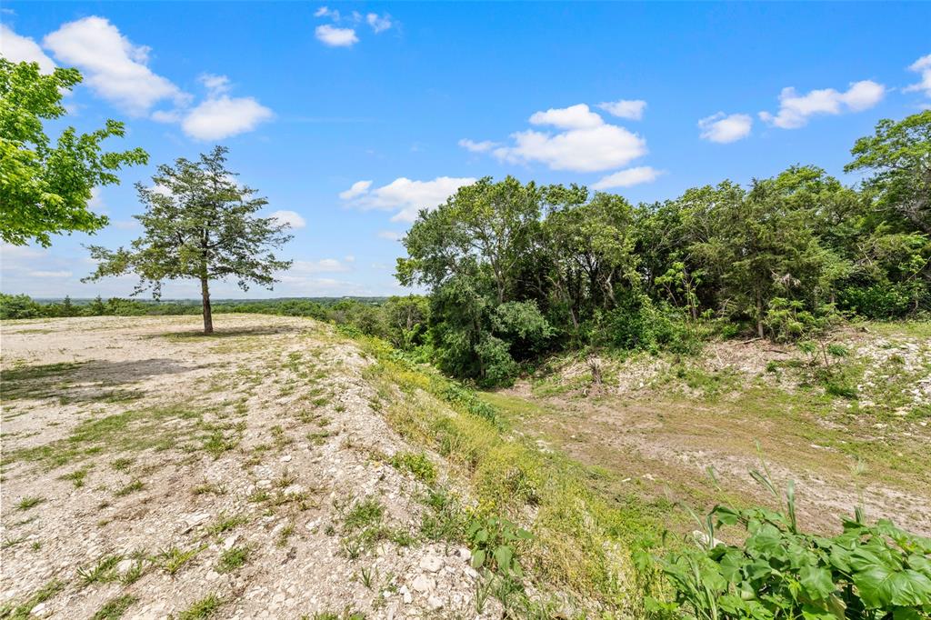162 High Ridge Drive Bruceville, TX 76630 - Photo 34 of 40 a view of a yard with a tree