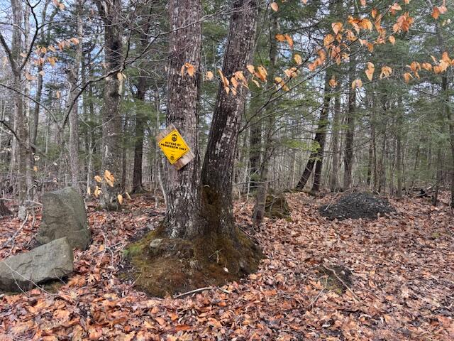 Lot 4 Desert Pond Rd Mount Mount Vernon, ME 04352 - Photo 3 of 5