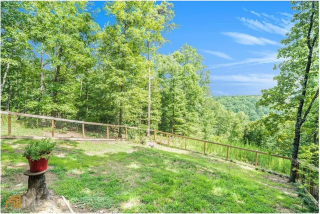 a view of outdoor space and yard
