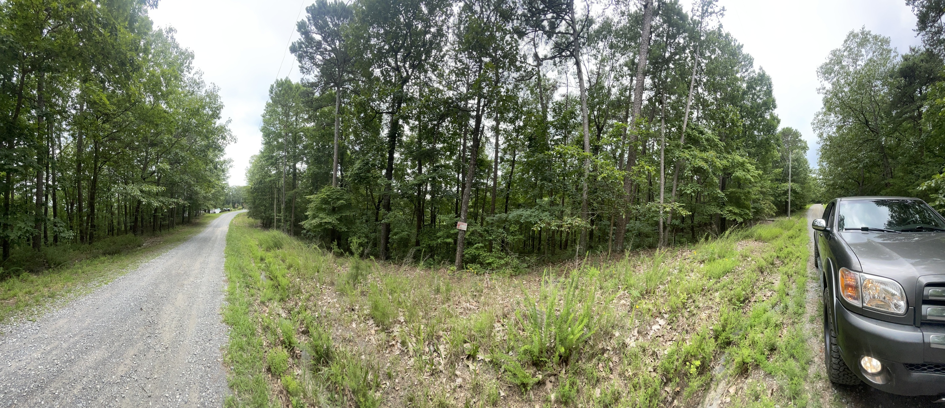1316 Arrow Court Ranger, GA 30734 - Photo 4 of 33 a view of a garden