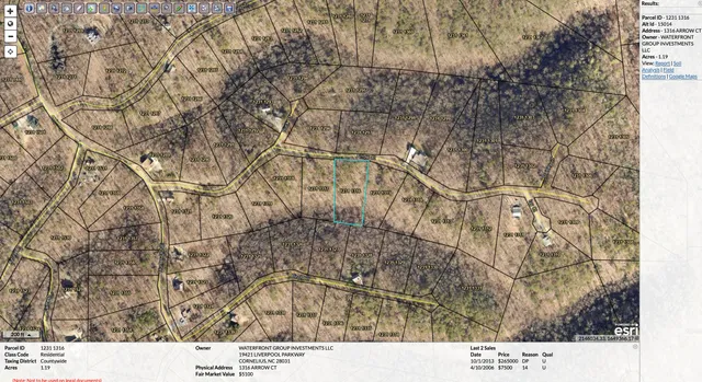 a black and white photo of a tree