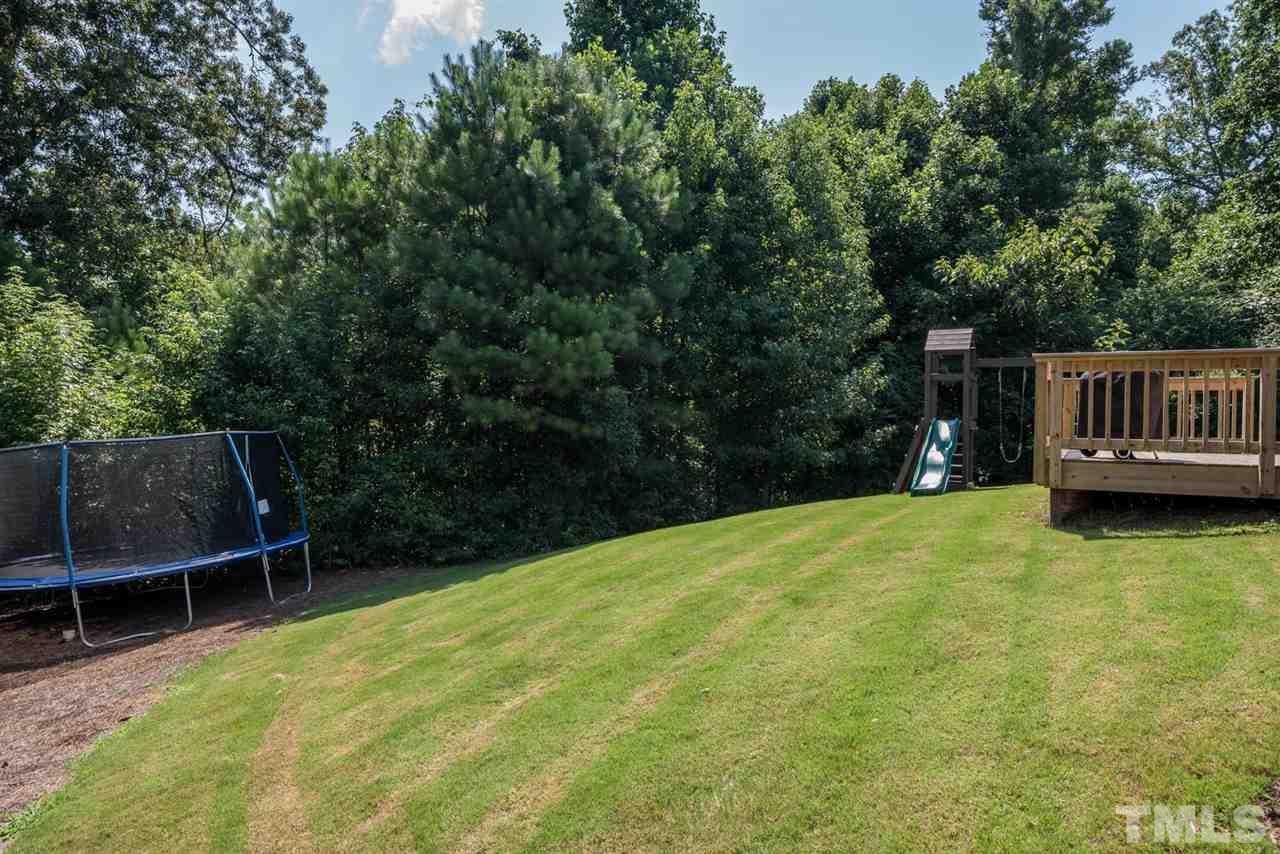 107 Holyoke Court Raleigh, NC 27603 - Photo 19 of 25 This is a view to the side yard, where there are no neighbors and the protected wetlands.