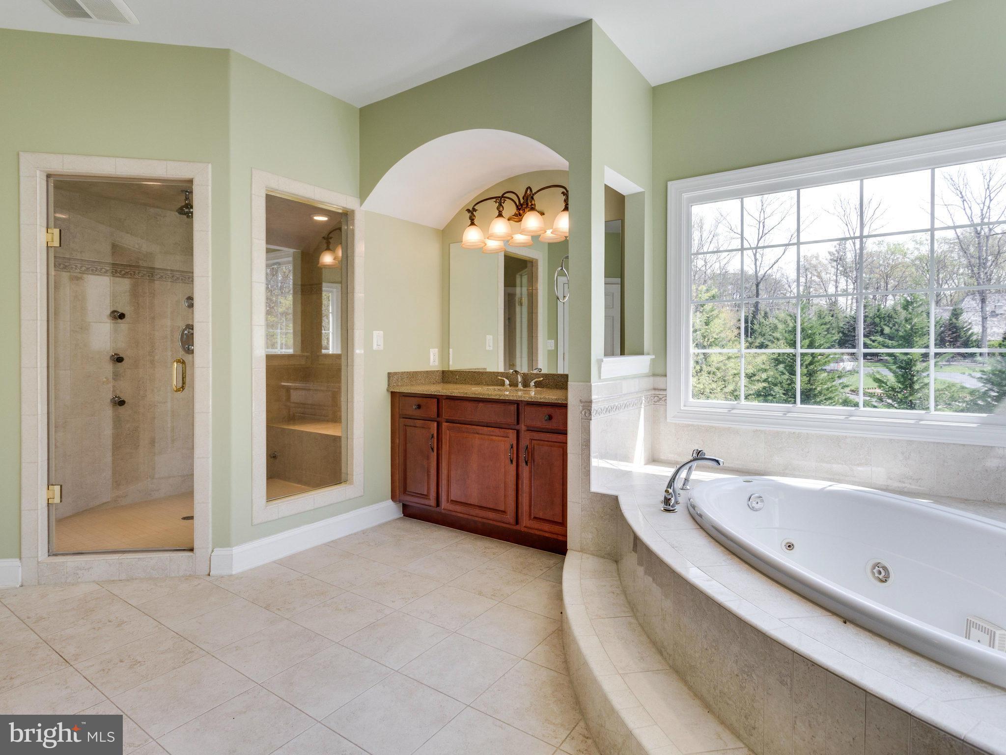 10423 Lawyers Road Vienna, VA 22181 - Photo 15 of 30 Bath (Master)