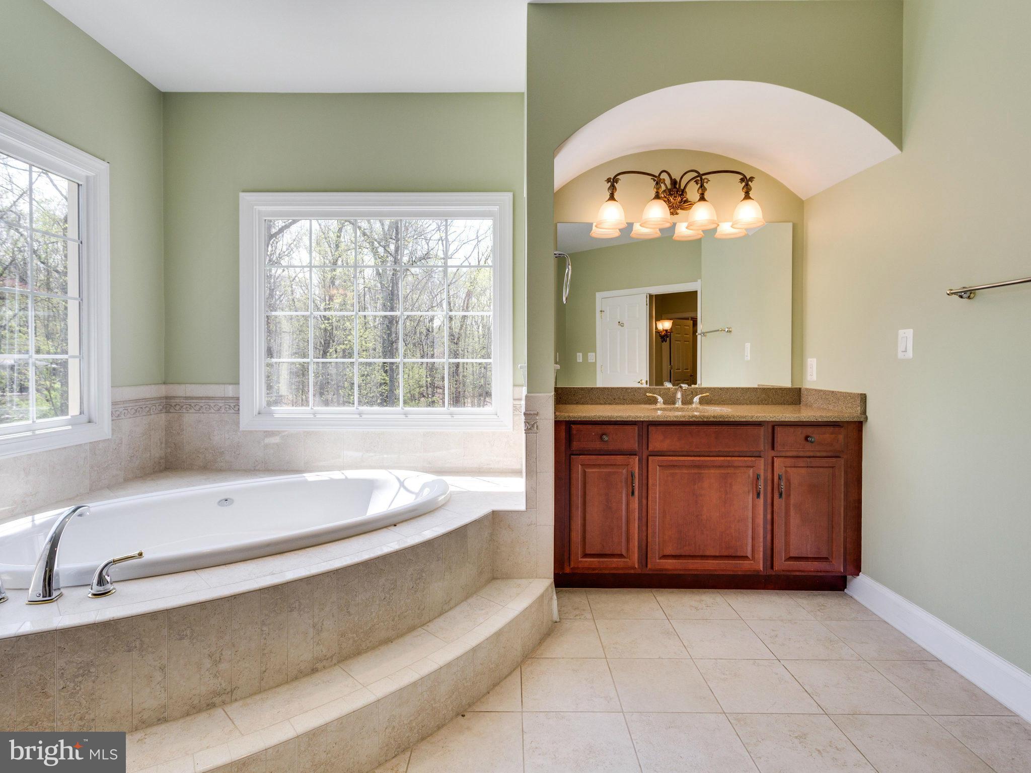 10423 Lawyers Road Vienna, VA 22181 - Photo 16 of 30 Bath (Master)