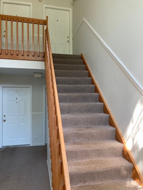 1945 Matthew Court, Unit D Elgin, IL 60123 - Photo 19 of 22 a view of entryway