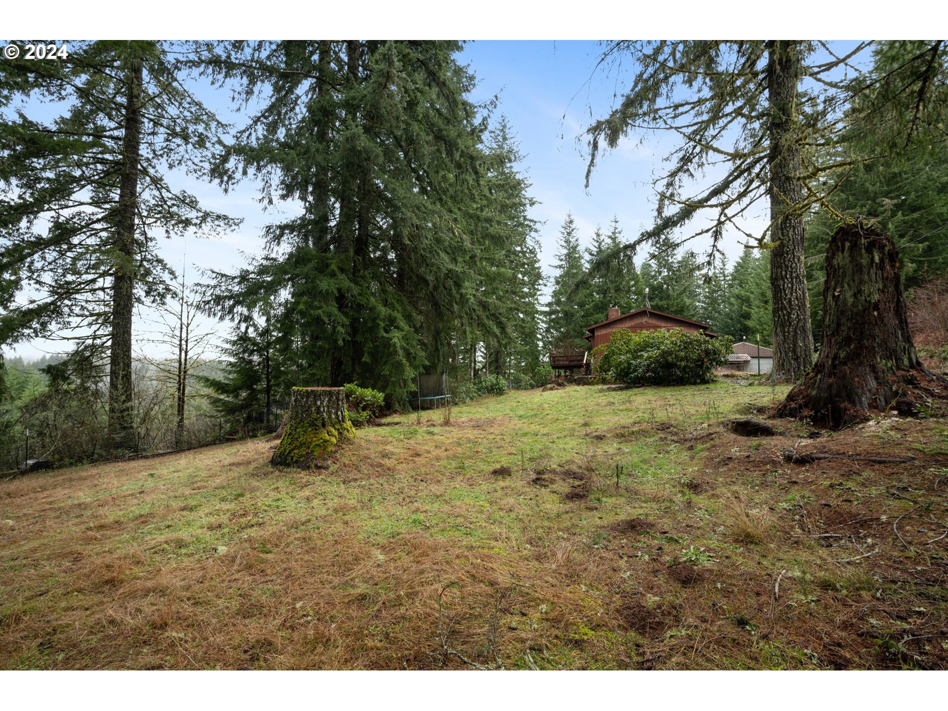 27070 Northwest Timber Road Forest Grove, OR 97116 - Photo 33 of 34 Yard