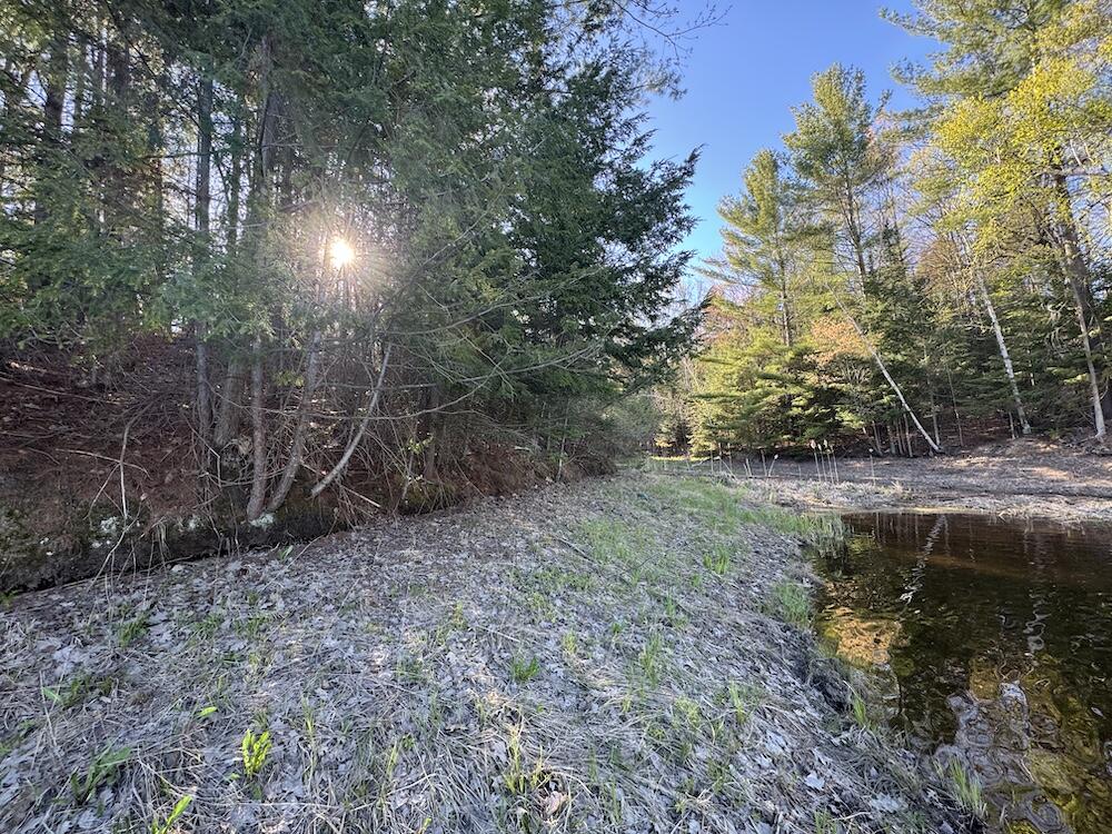 Lot 9 V/l Wildwood Road Alger, MI 48610 - Photo 22 of 40 IMG_2773