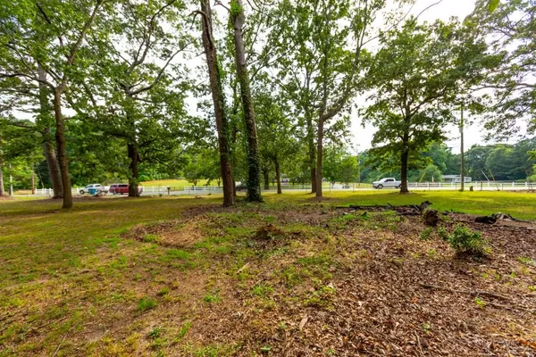 a view of a tree in a park