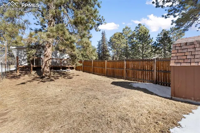 a view of backyard and trees