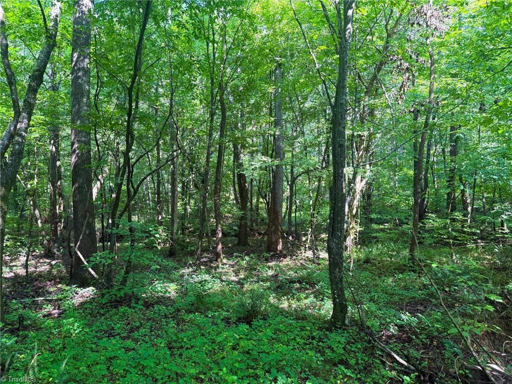 0 Settle Bridge Road Madison, NC 27025 - Photo 11 of 25