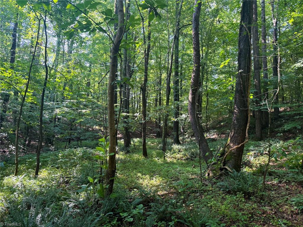 0 Settle Bridge Road Madison, NC 27025 - Photo 12 of 25