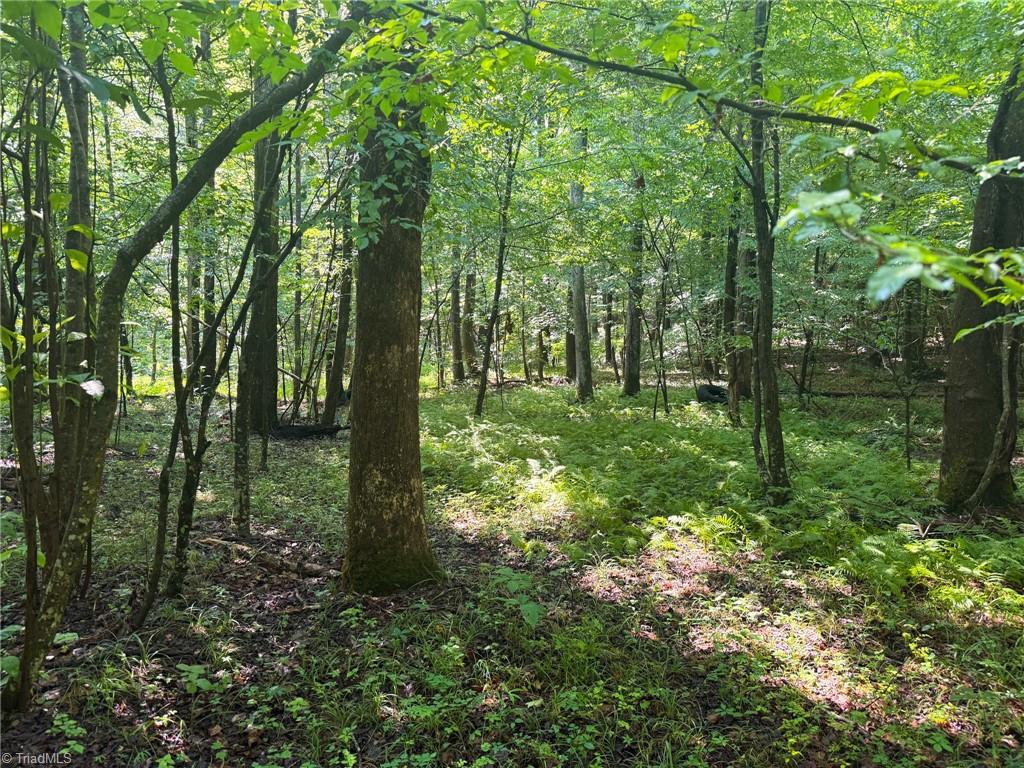 0 Settle Bridge Road Madison, NC 27025 - Photo 13 of 25