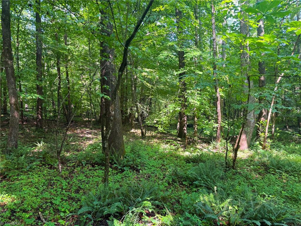 0 Settle Bridge Road Madison, NC 27025 - Photo 14 of 25