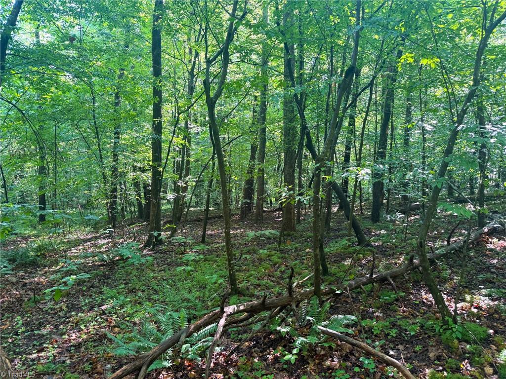 0 Settle Bridge Road Madison, NC 27025 - Photo 15 of 25