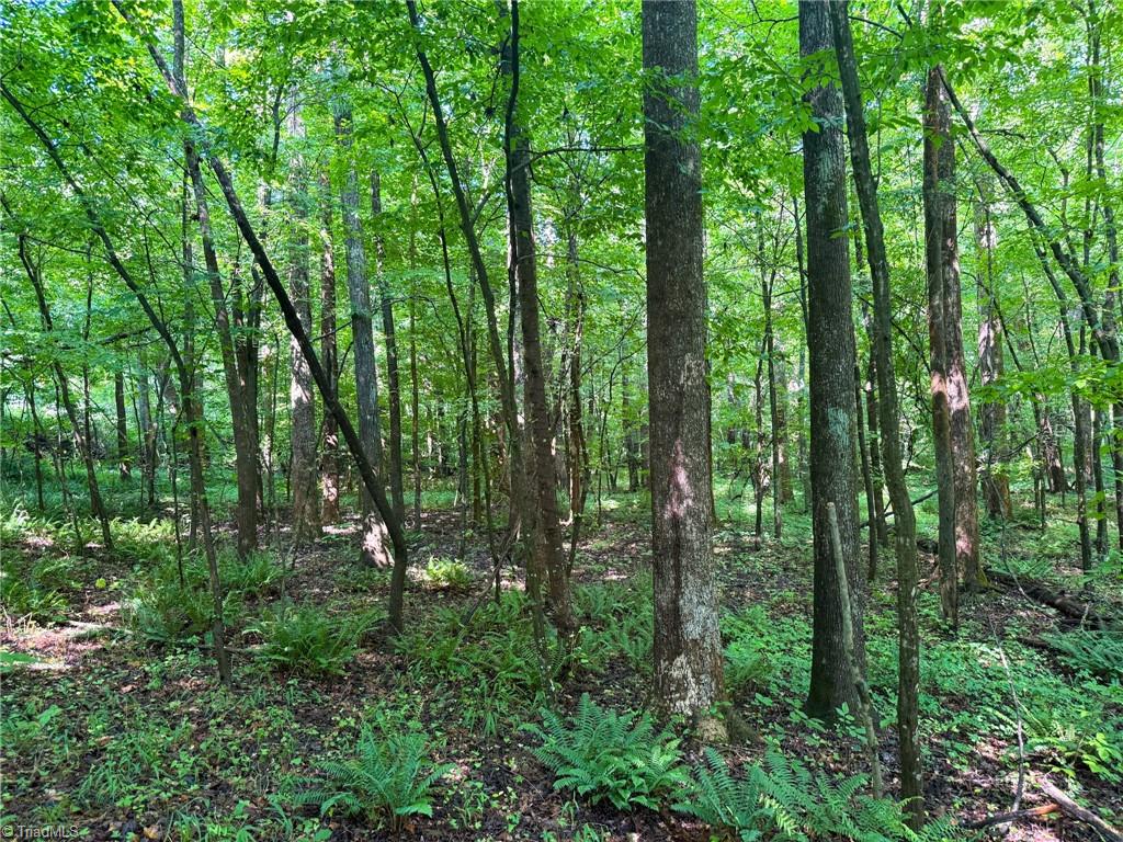 0 Settle Bridge Road Madison, NC 27025 - Photo 16 of 25