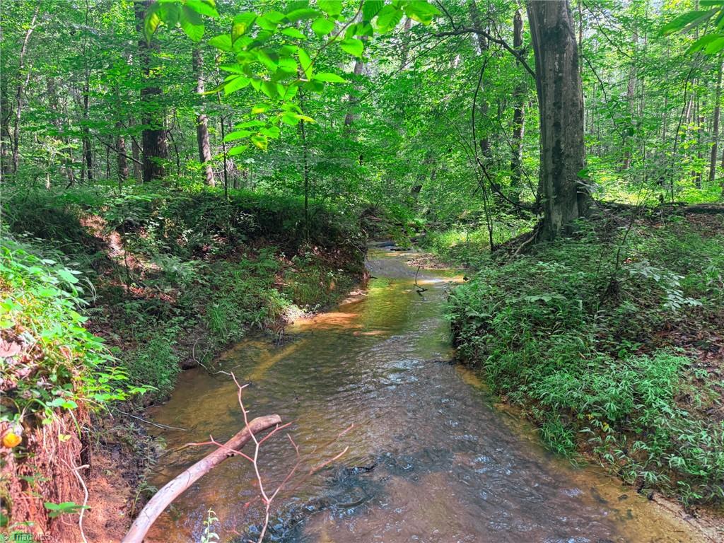 0 Settle Bridge Road Madison, NC 27025 - Photo 17 of 25